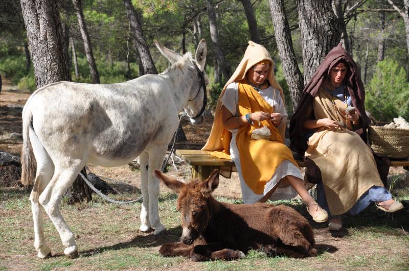 Bastida de les Alcusses