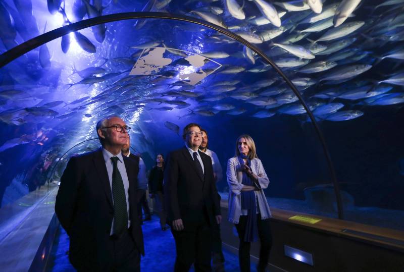 Autoridades visitando el oceanográfico. //viu valència