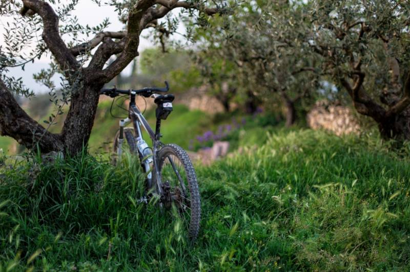 Turismo cicloturista 