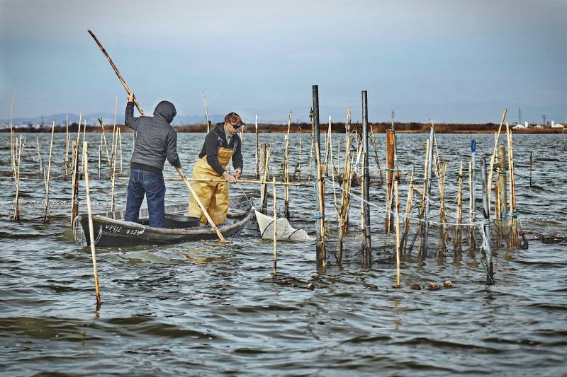 Pesca artesanal