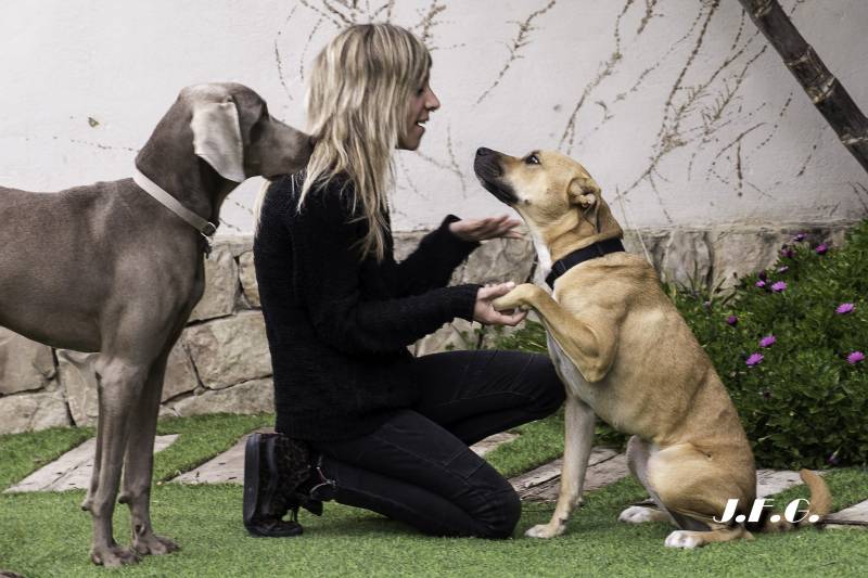 Linda, Max y Eva Balaguer