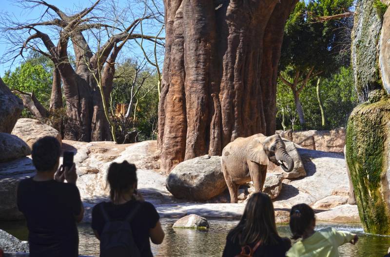 Primavera 2018 - visitantes junto al lago de los elefantes - BIOPARC