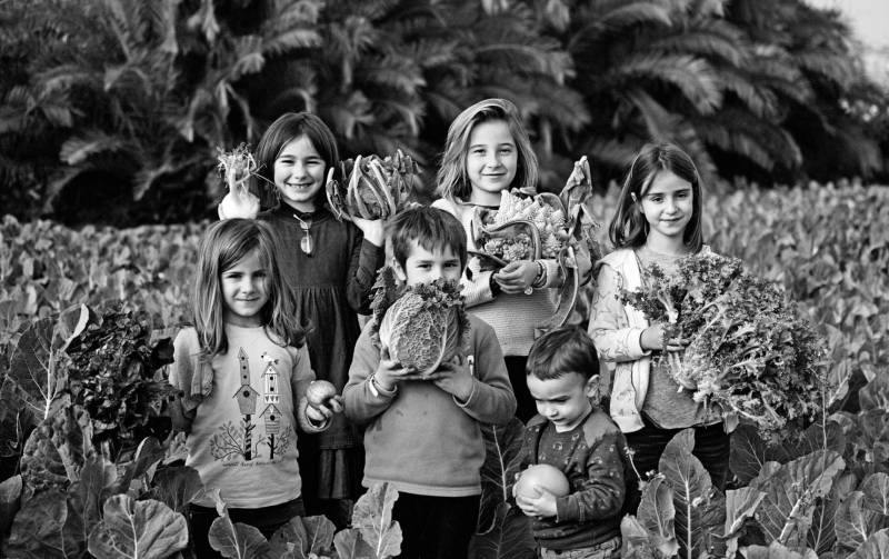 Imagen de archivo productos agroalimentarios Mercadona./ EPDA